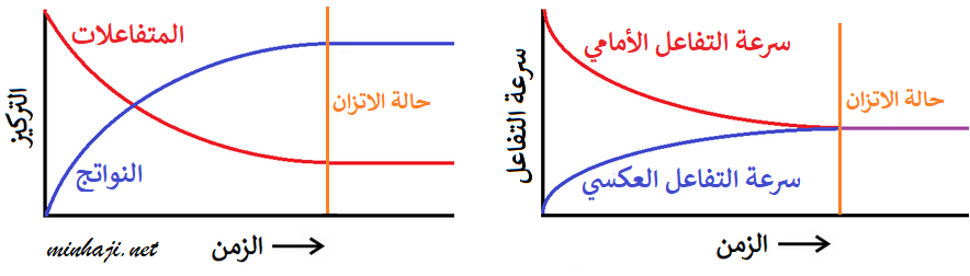 الاتزان الديناميكي